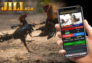 JiliAsia sabong
